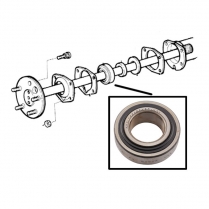 Rear Axle Bearing - 1970-73 Ford Truck    