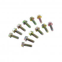 Door Hinge Mounting Bolt Kit - 1973-79 Ford Truck, 1978-79 Ford Bronco