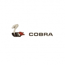 Decal - Fender - Left - Cobra Snake - 1970 Ford Car  