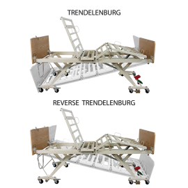 DB300 Bariatric LTC 5 Function Low Bed - Wood Boards - Cherr