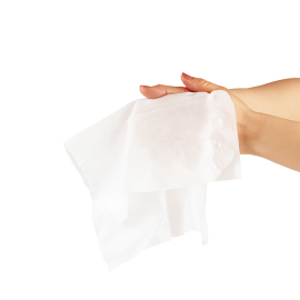 Flushable Wipes - Adult