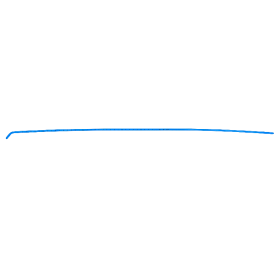 Endotracheal Tube Introducer (Bougie)