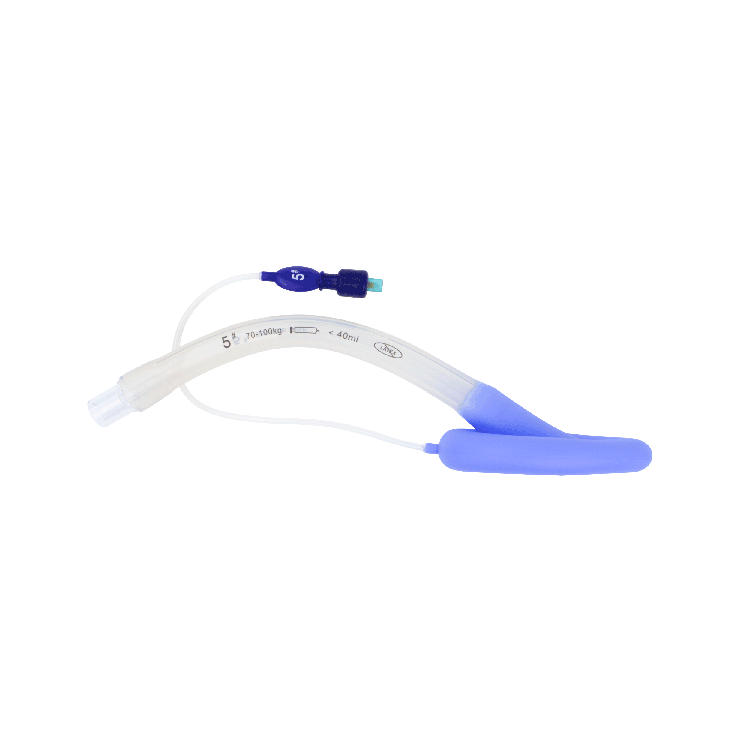 Laryngeal Mask Airways (LMAs) 