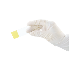 Microscope Slides, Frosted Yellow, corner grounded
