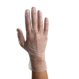 Vinyl Gloves in a Bag, Powder-Free