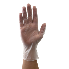 Vinyl Gloves in a Bag, Powder-Free