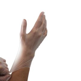 Vinyl Gloves in a Bag, Powder-Free