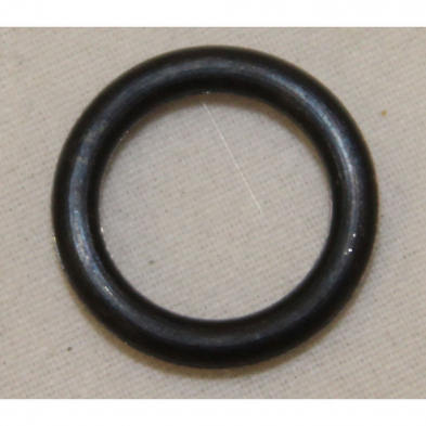20478367 O Ring for Fuel Pump, L56, L73