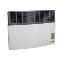 Ashley Direct Vent Gas Heaters 17,000 BTU/h NG DEMO