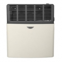 Eskabe Direct Vent Gas Heaters 11,000 BTU/h NG
