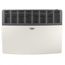 Eskabe Direct Vent Gas Heaters 17,000 BTU/h NG
