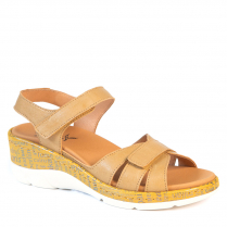 37-204 TAN