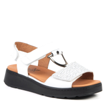 37-28 WHITE