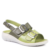 37-2843 GREEN
