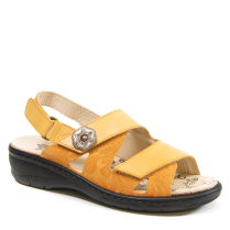 37-5595 YELLOW