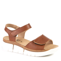 AP-11451 TAN