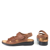 ND-33208 BROWN
