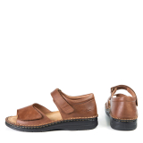 ND-33212 BROWN
